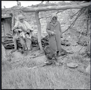 Suspect sous la surveillance d'un soldat et d'un chien lors d'une opération militaire dans l'Aurès, Algérie, 24 avril 1955 © ECPAD / Claude Cuny